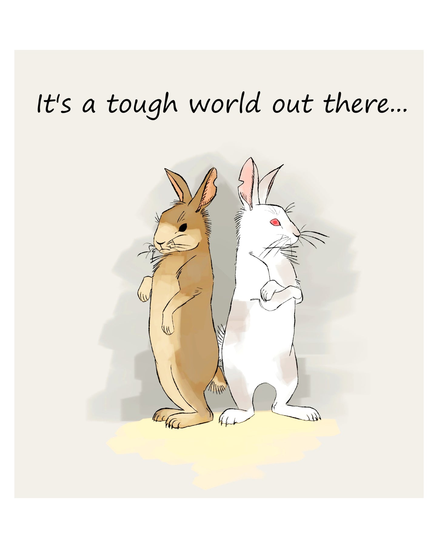 Northern Rabbit